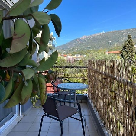 Vasiliki Apartments Ναύπακτος Εξωτερικό φωτογραφία